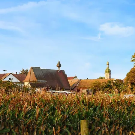 à Avec Jardin Privé - 20 M² * Valff
