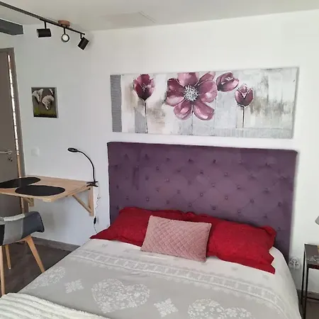 A Avec Jardin Prive - 20 M² Apartman