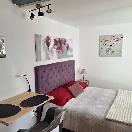 A Avec Jardin Prive - 20 M² Lägenhet Valff